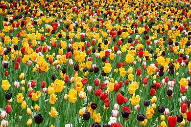 《黑帝斯2》9月25日登陆Switch 2平台