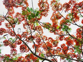 魔药酿造游戏《妙药工坊》抢先体验版登陆Steam平台