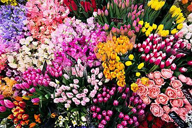 生存类城市建设游戏《赞助者》8月3日登陆Steam 支持中文